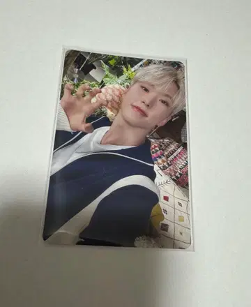 세븐틴 소비기한 호시 캐럿반