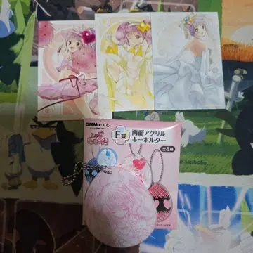 슈고 캐릭터! DMM 복권 E상 양면 아크릴 키링 호시나 우타우 덤 포함