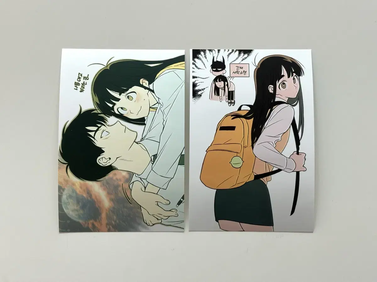세기말 풋사과 보습학원 프박 세풋보 굿즈
