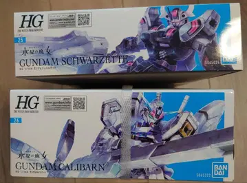 HG 칼리버, HG 슈바르제테