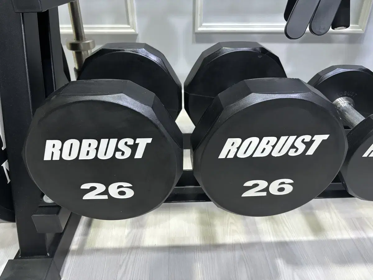로버스트 덤벨 26kg 2개