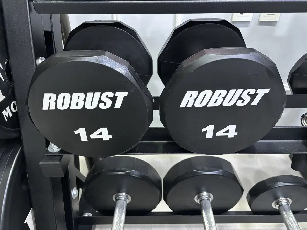 로버스트 덤벨 14kg 2개