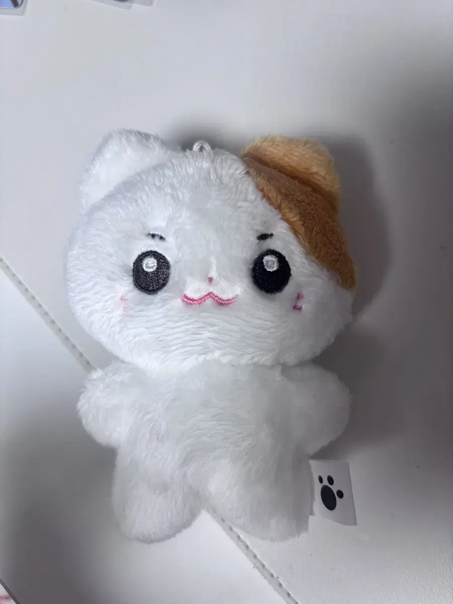 제베원 성한빈 인형 솜한빈 팔아요