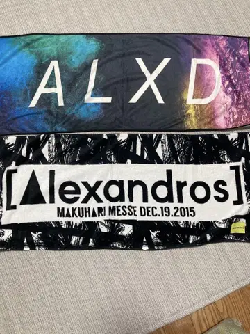 ALXD alexandros 알렉산드로스 타월 2장 세트