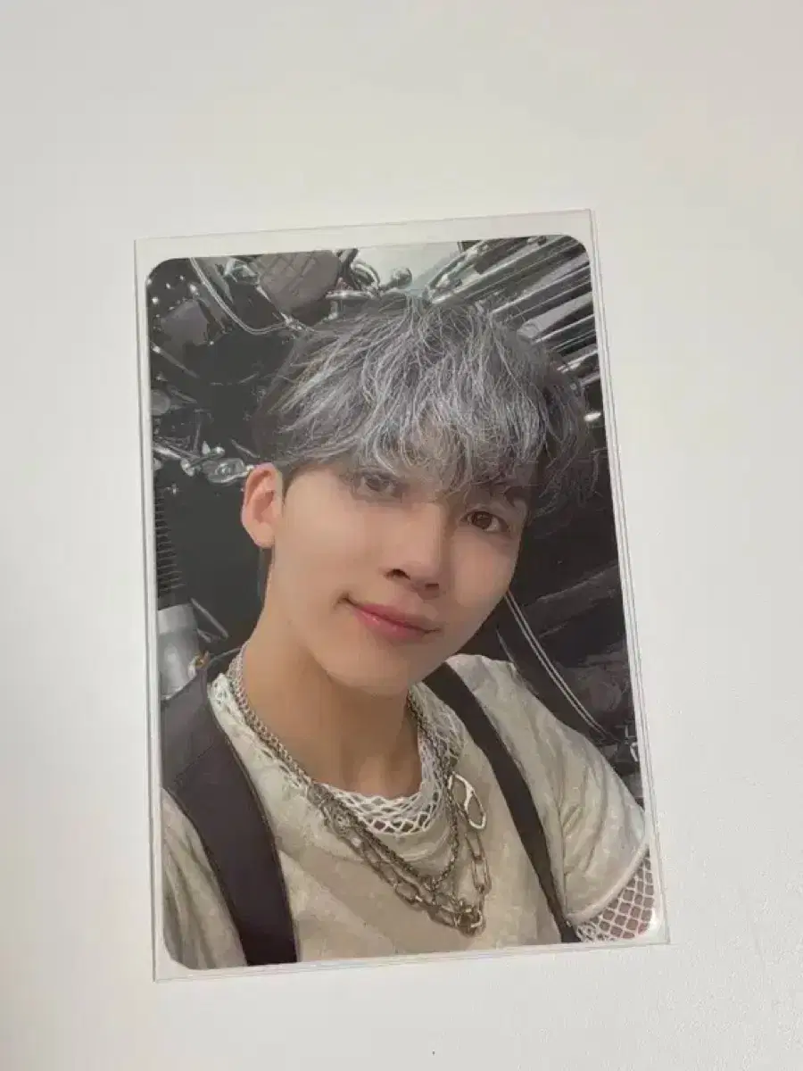 세븐틴 정한 포카