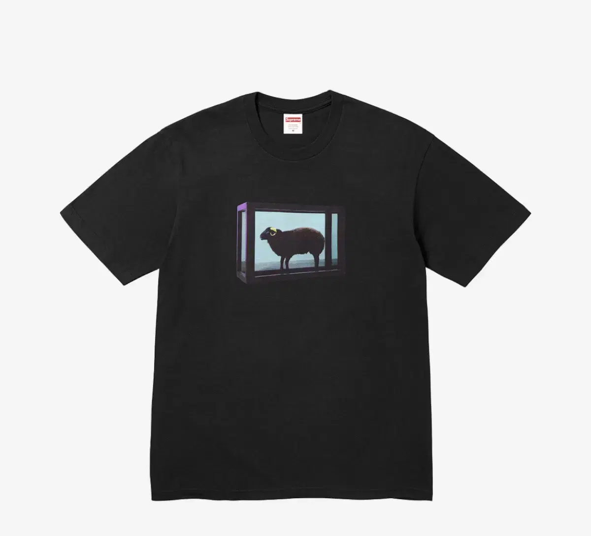 M) 슈프림 x 데미안 허스트 티셔츠 블랙 - 25SS