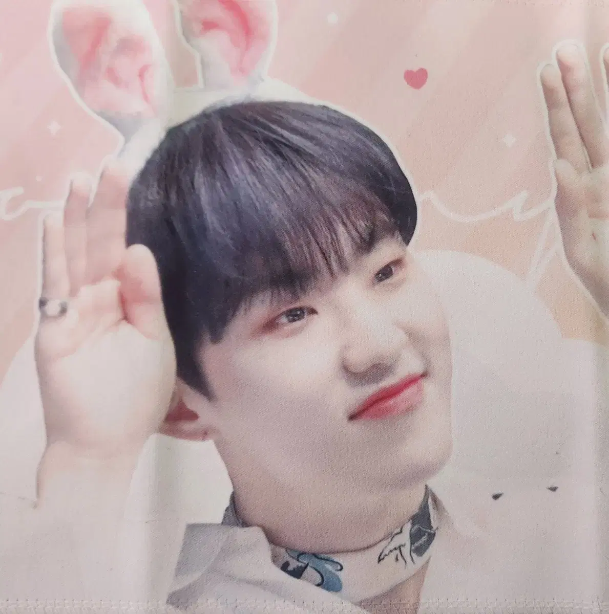 세븐틴 호시 권순영 슬로건 양도