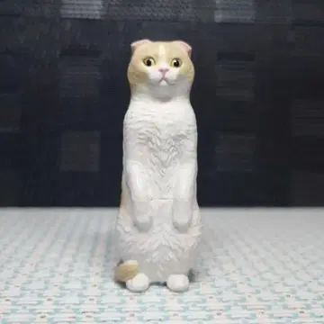 조형작가 모리구치 오사무 오리지널 고양이 피규어 스코티시