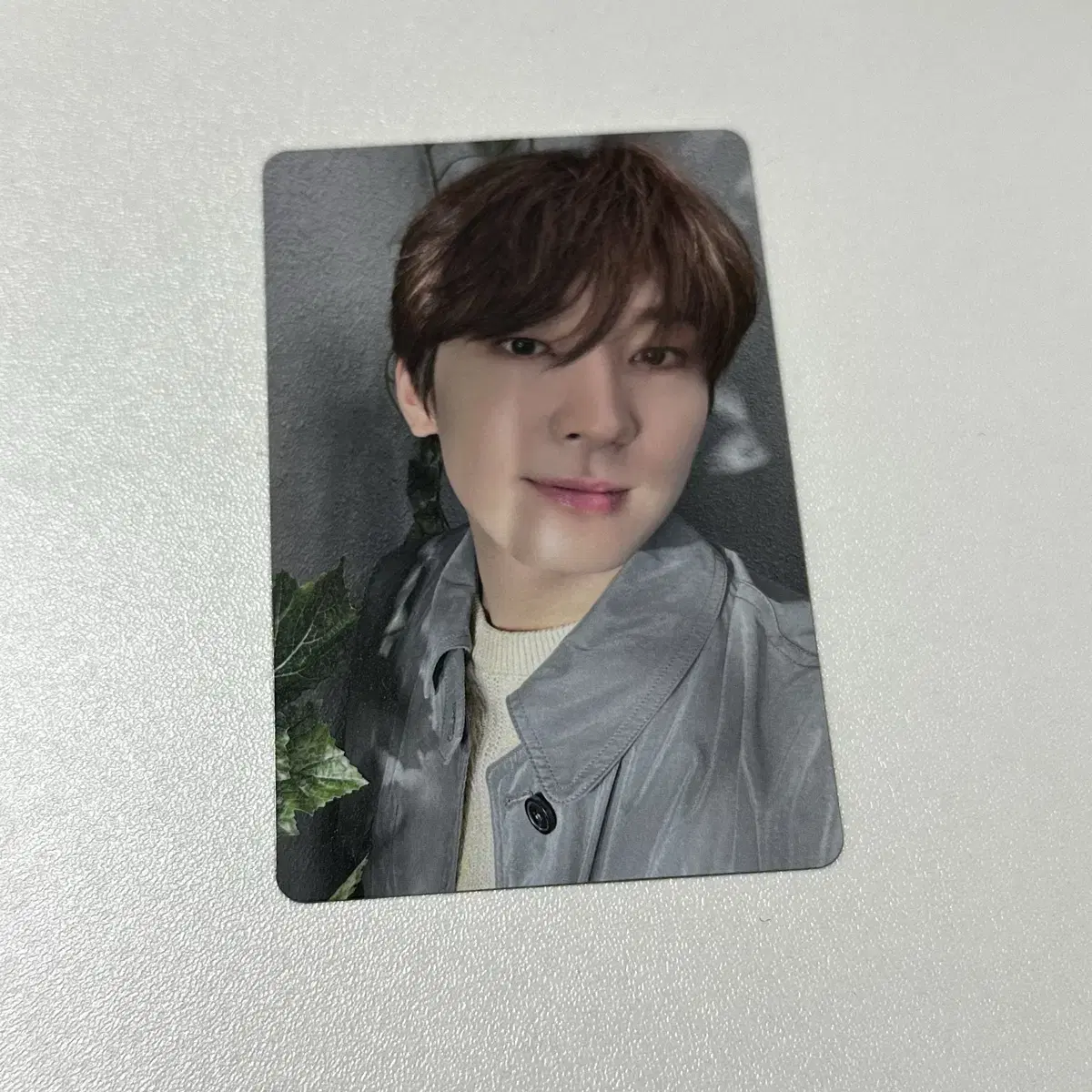 세븐틴 소비기한 원우 타워레코드 특전