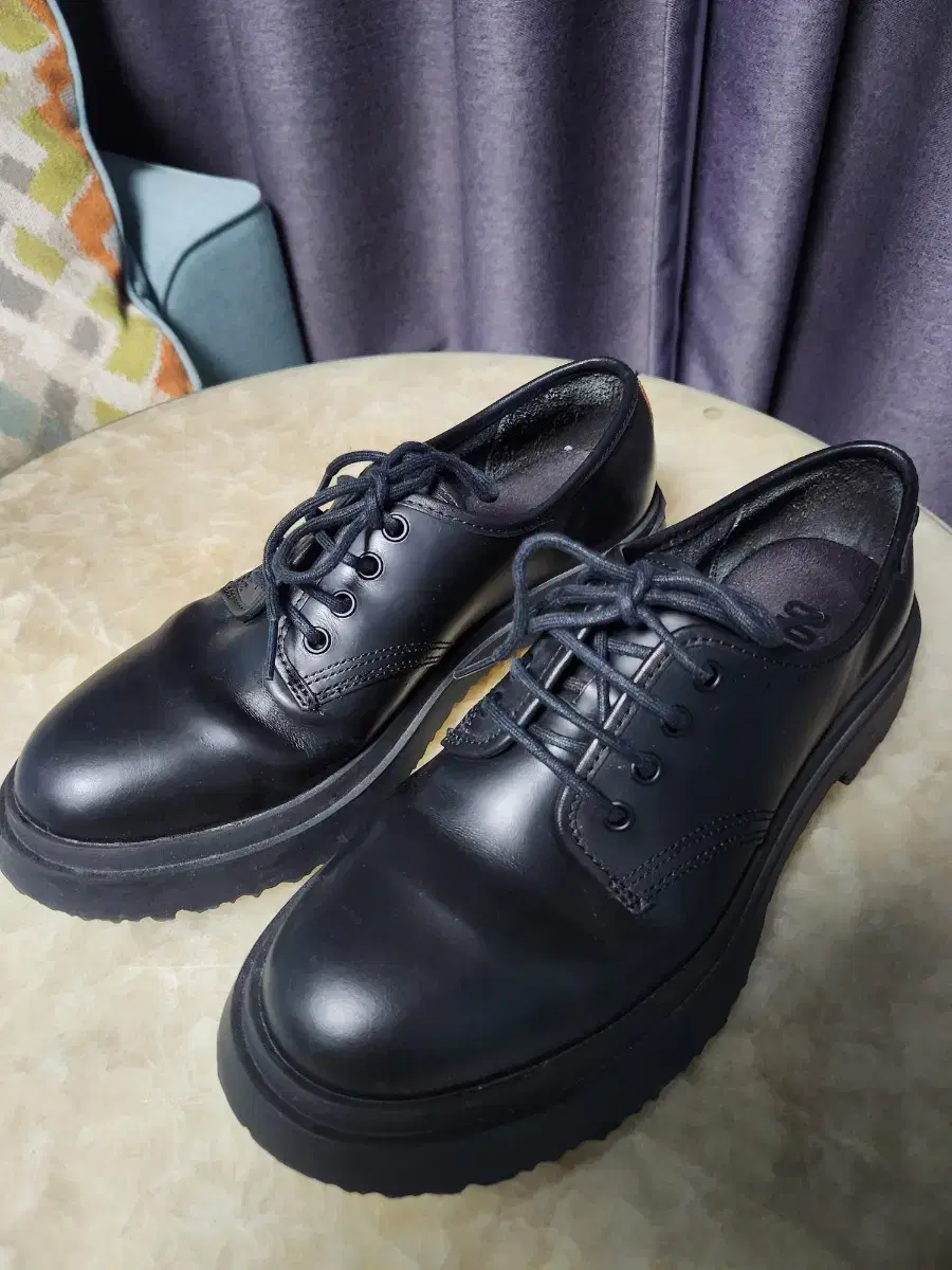 Camper Wilder Derby 41