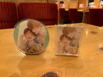 Canna 그라테 쿠마 요요코 콜로타