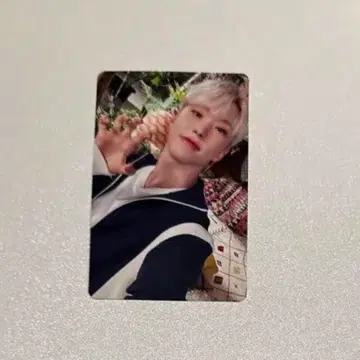 세븐틴 소비기한 캐럿반 호시