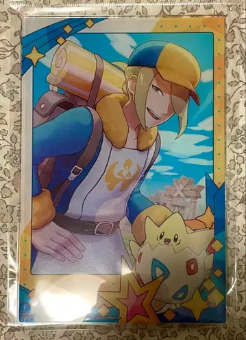 포켓몬 포켓몬스터 포켓몬 마스터즈 아크릴 아트 패널 볼로