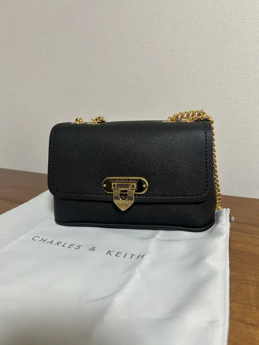 Charles & Keith Shoulder Bag New Product