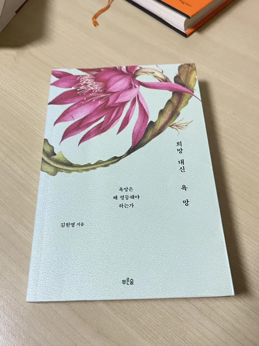 희망 대신 욕망