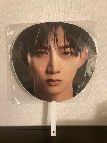 2PM 15주년 기념 옥택연 IT'S 2PM 부채