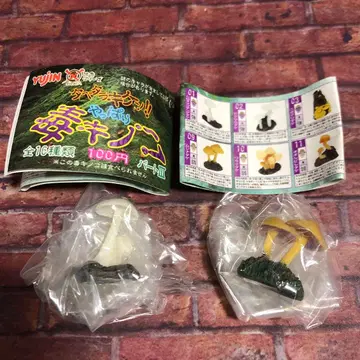 위험해! 역시 독버섯 3부 흰달걀버섯, 물방개버섯