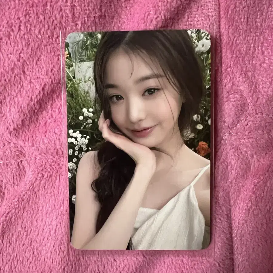 하파크리스틴 장원영 포카 IVE 아이브