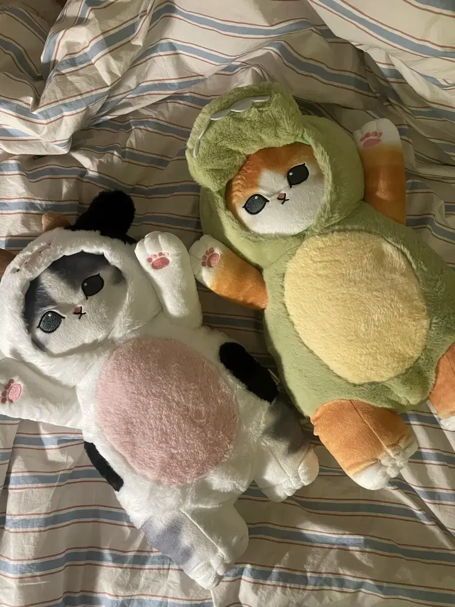 모프샌드 고양이 대형인형 50cm