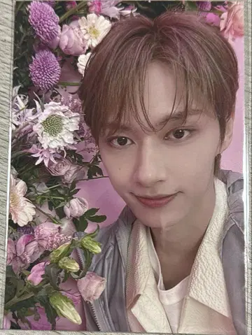 세븐틴은 언제나 당신의 셀카 포토그래퍼 준