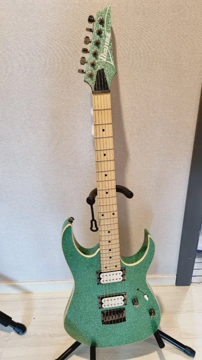 IBANEZ Rg421MSP Super Strat Electric Guitar