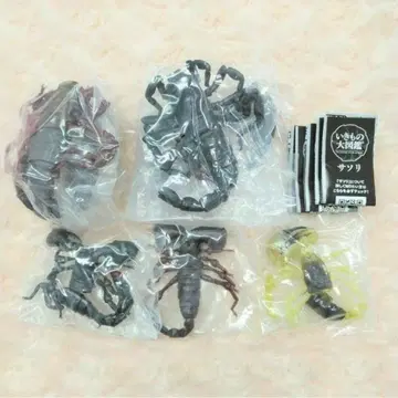 생물대도감 전갈 전 5종 풀 컴프