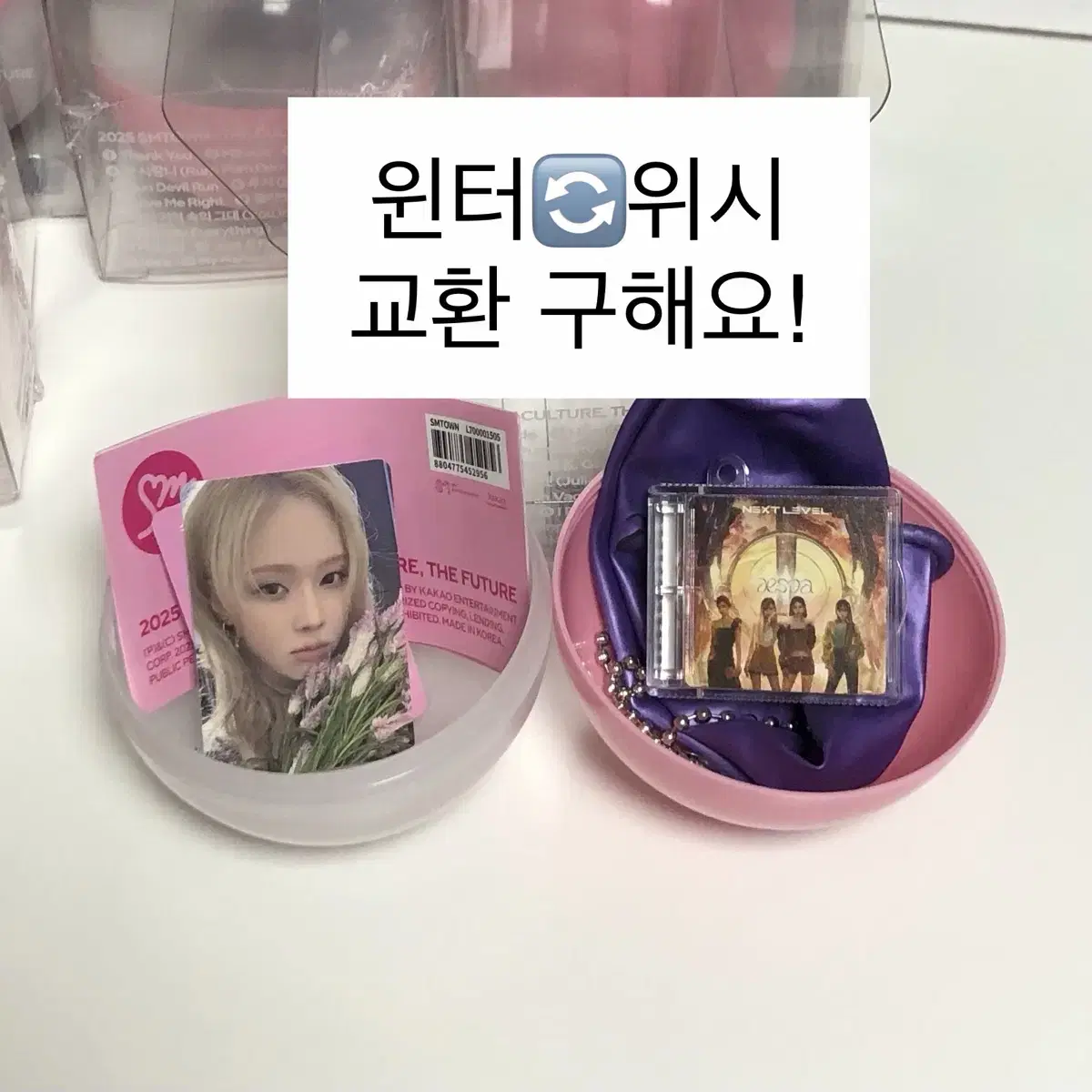 교환 sm 30주년 슴콘 에스엠타운 타임캡슐 앨범 에스파 윈터 엔시티위시
