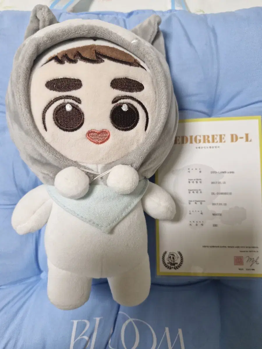 엑소 도경수 인형 됴램이 20cm
