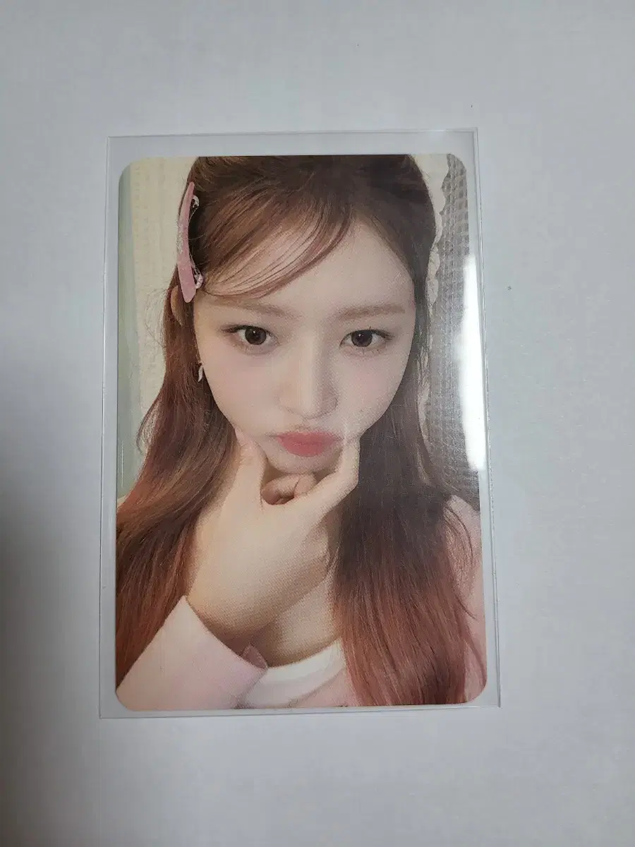 아이브 2024시그 본품 레이포카
