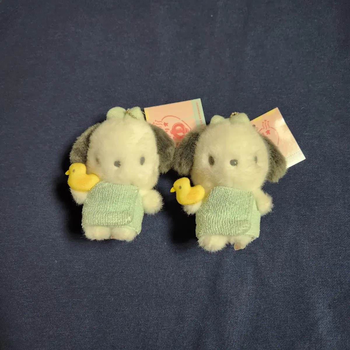 산리오 목욕 온천 마스코트 포챠코