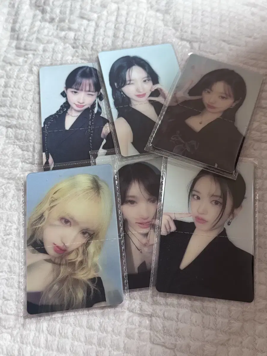 아이브 파파존스 8차 포토카드