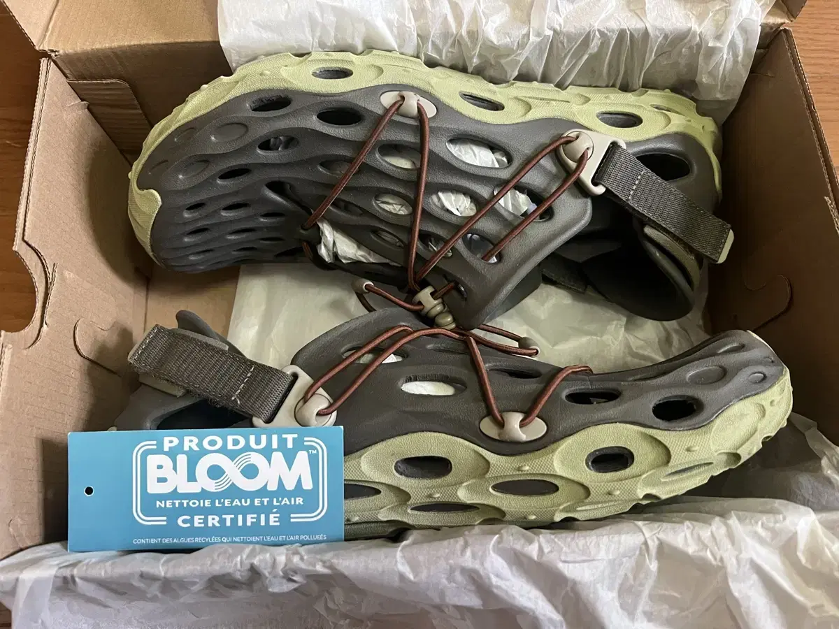 [280] Merrell Hydro-Moc AT Cage 1TRL Worn by Zuu Jae
