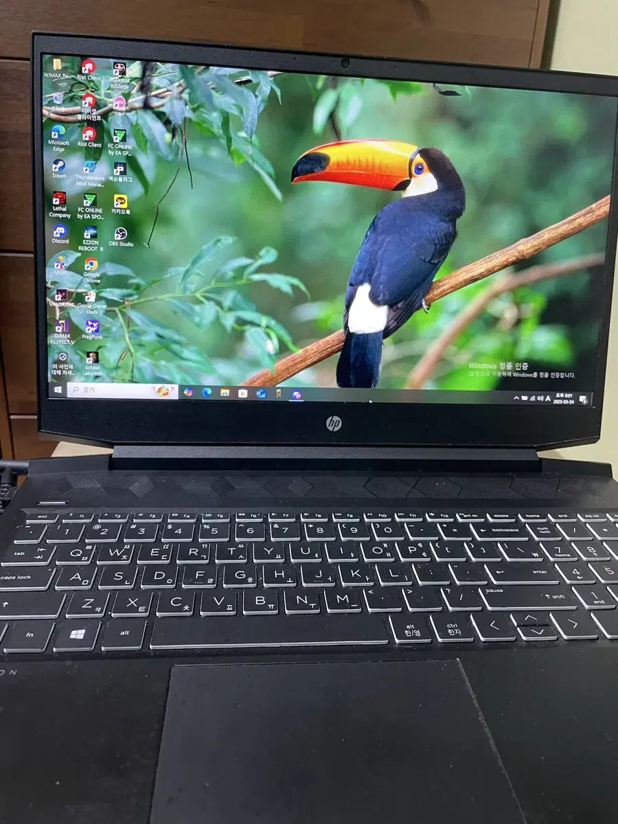 HP 파빌리온 노트북 팔아요
