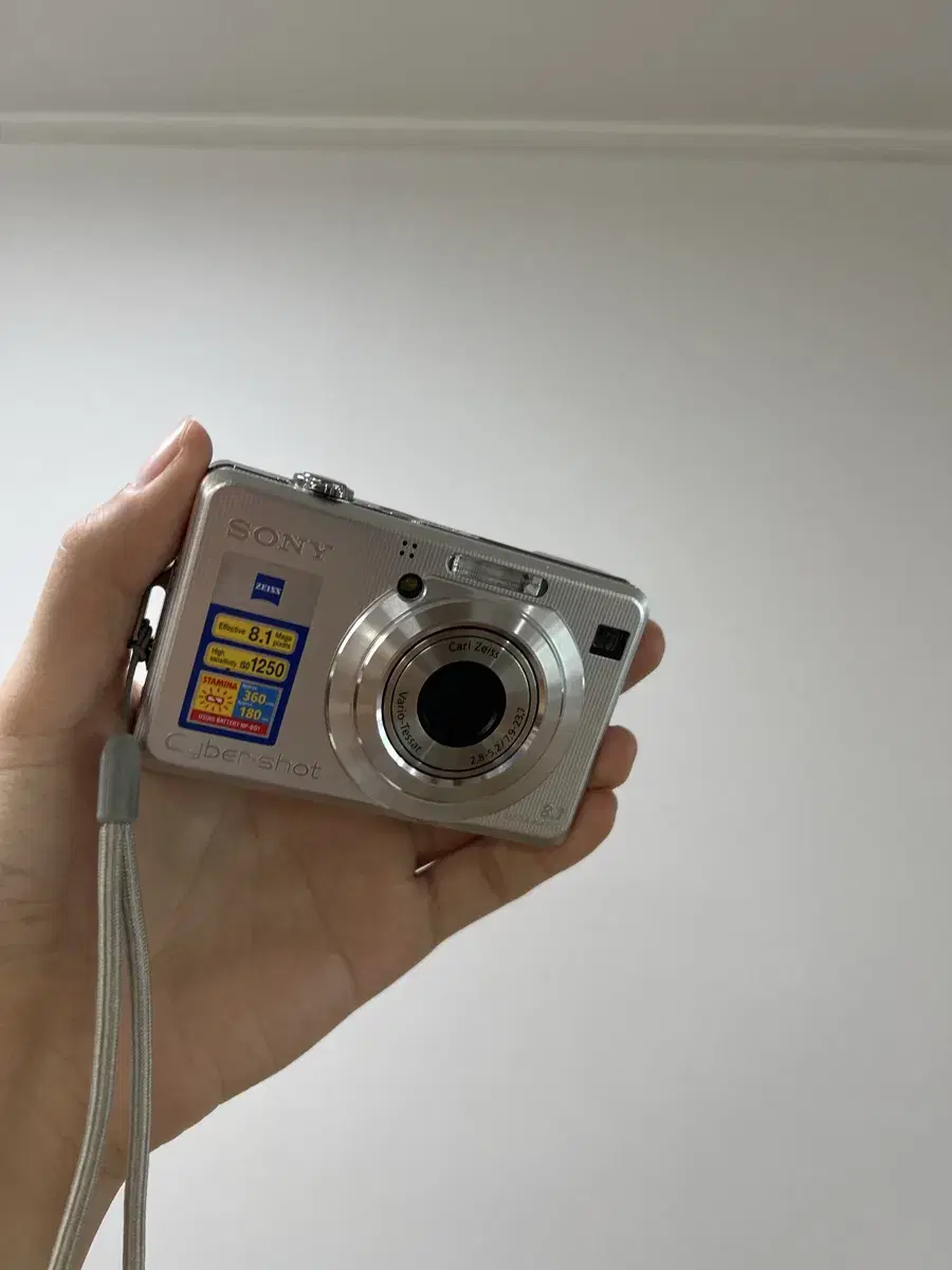 소니 사이버샷 DSC-W100 8.1 메가픽셀 디지털카메라
