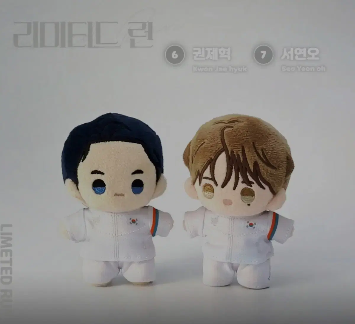 Cost Transfer Team Resin Limited Run Pochiragi Ticket ver.1 10 types, 12 tickets in total