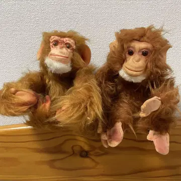 리얼한 원숭이 봉제 인형 2개 세트 오랑우탄