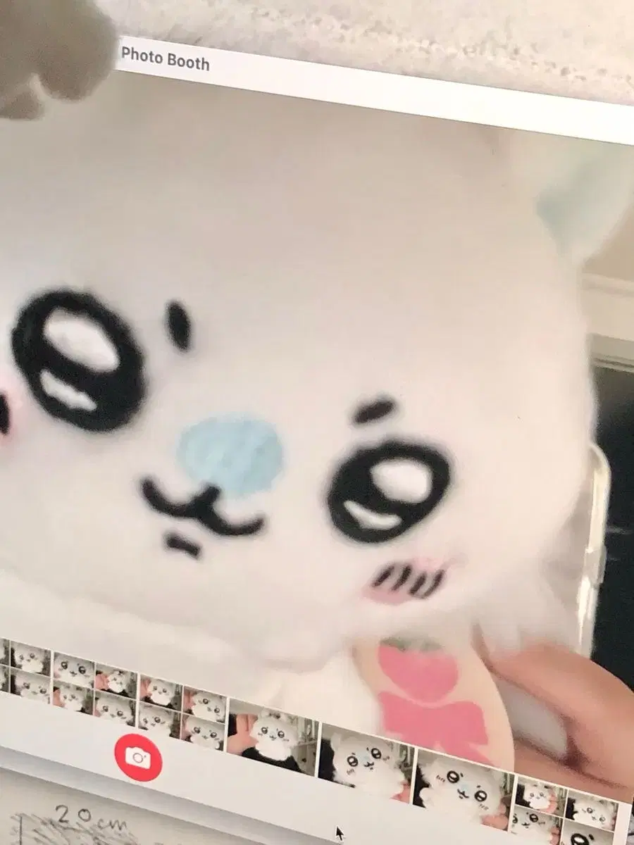 제베원 한빈하오 하오빈 센터즈 액자양도 장하오 성한빈 늘빈