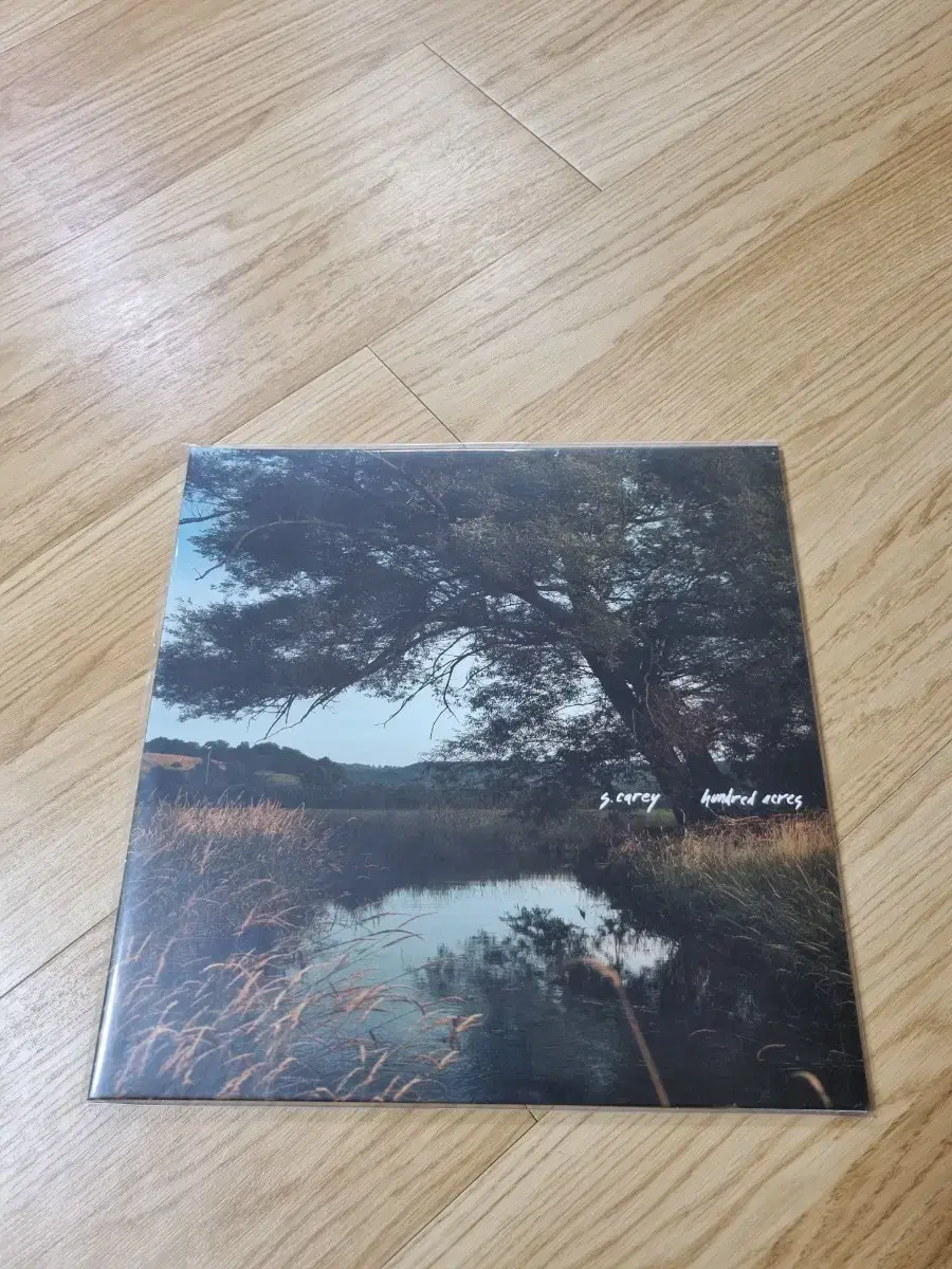 택포)S. Carey - Hundred Acres LP 개봉반