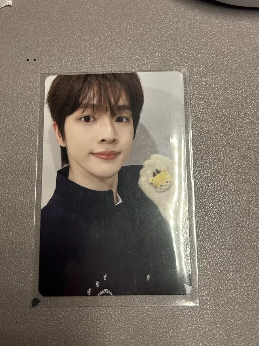라이즈 성찬 허그 엠디 장갑 포카