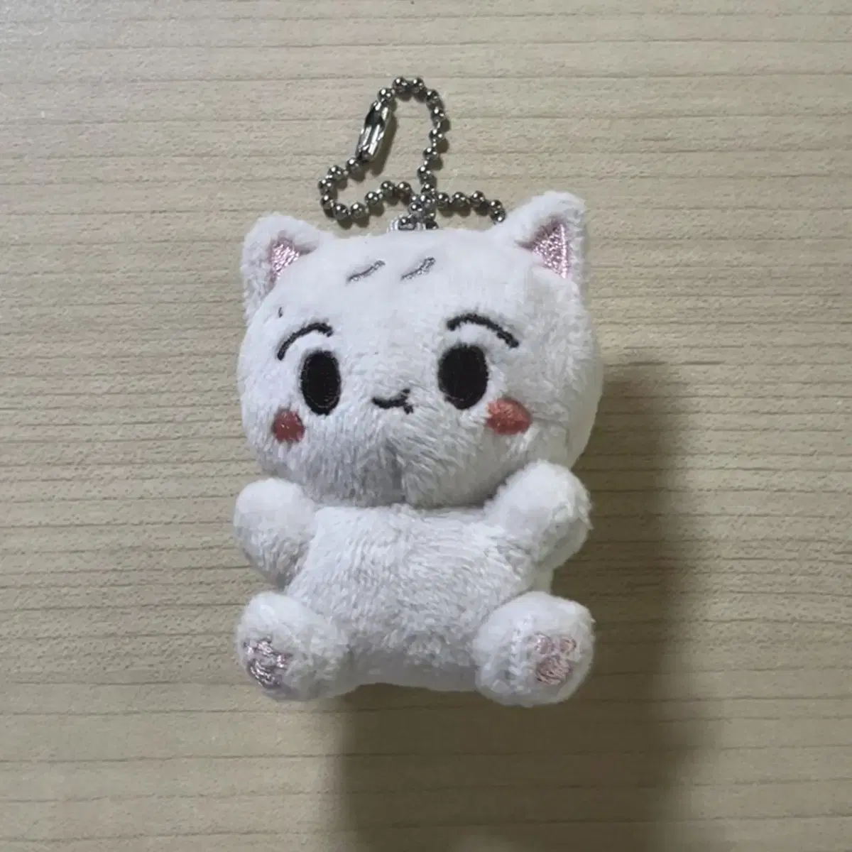 배송비포함) 엔시티 드림 런쥔 인형 쪼먕이 양도합니다!