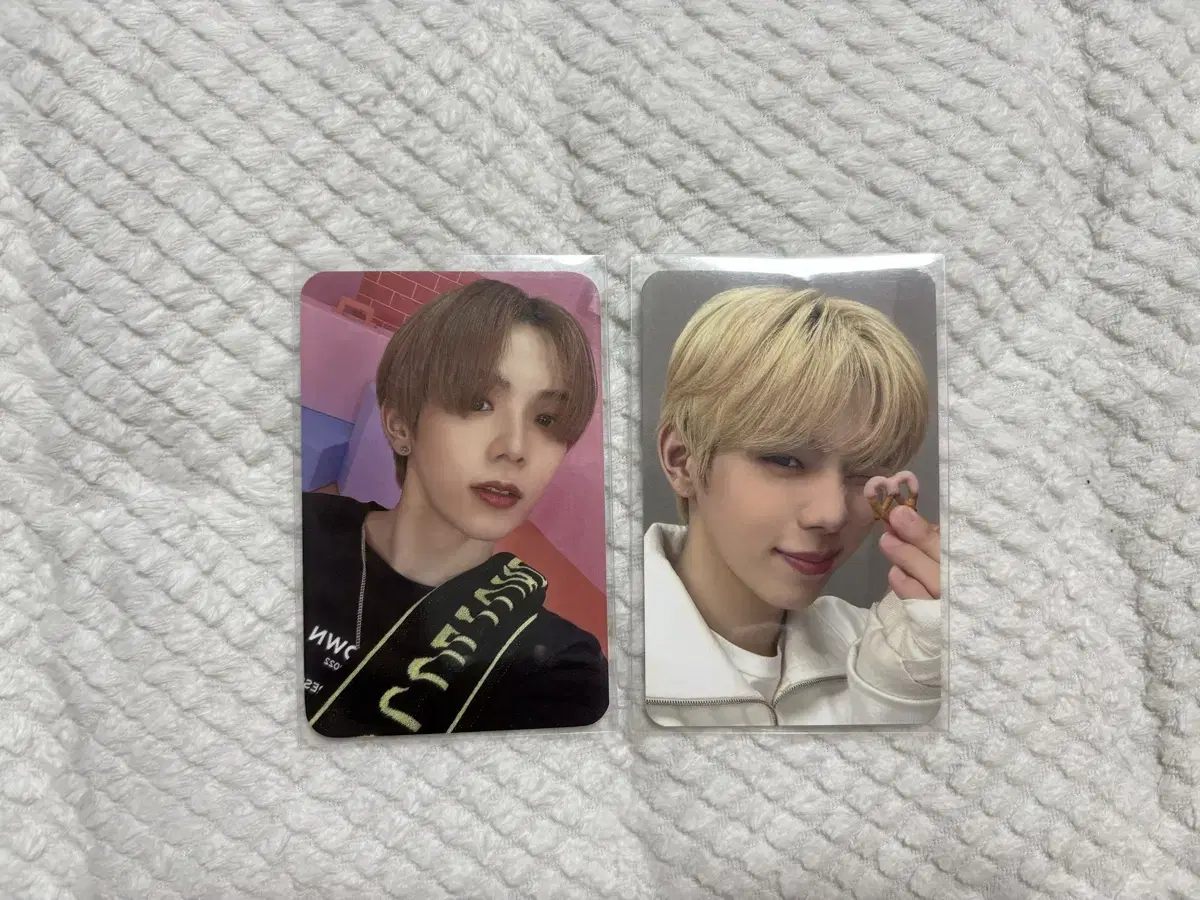 라이즈 엔시티 쇼타로 포카 일괄 처분 급처