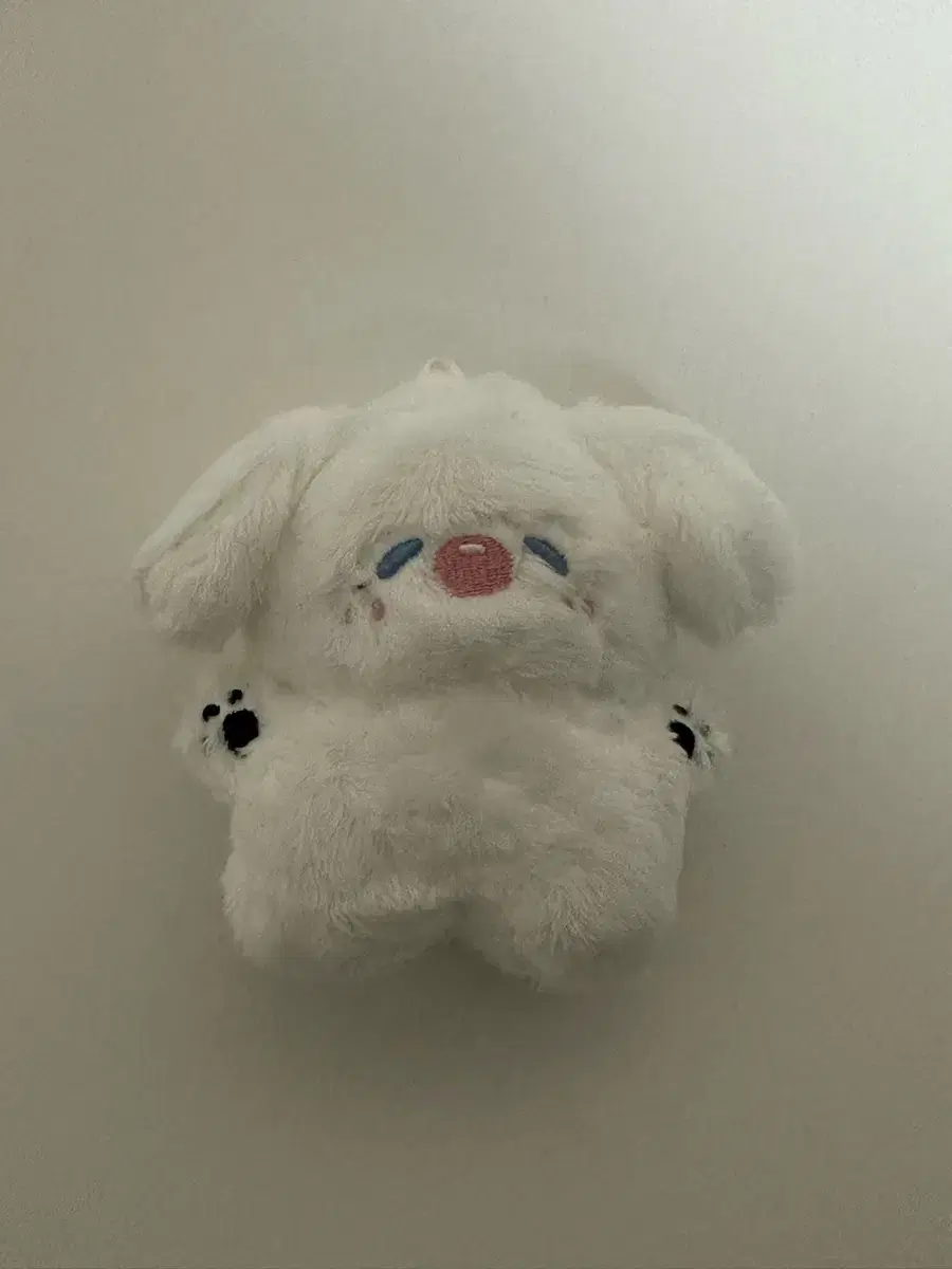 (급처)엔시티드림 제노 우와젠 양도