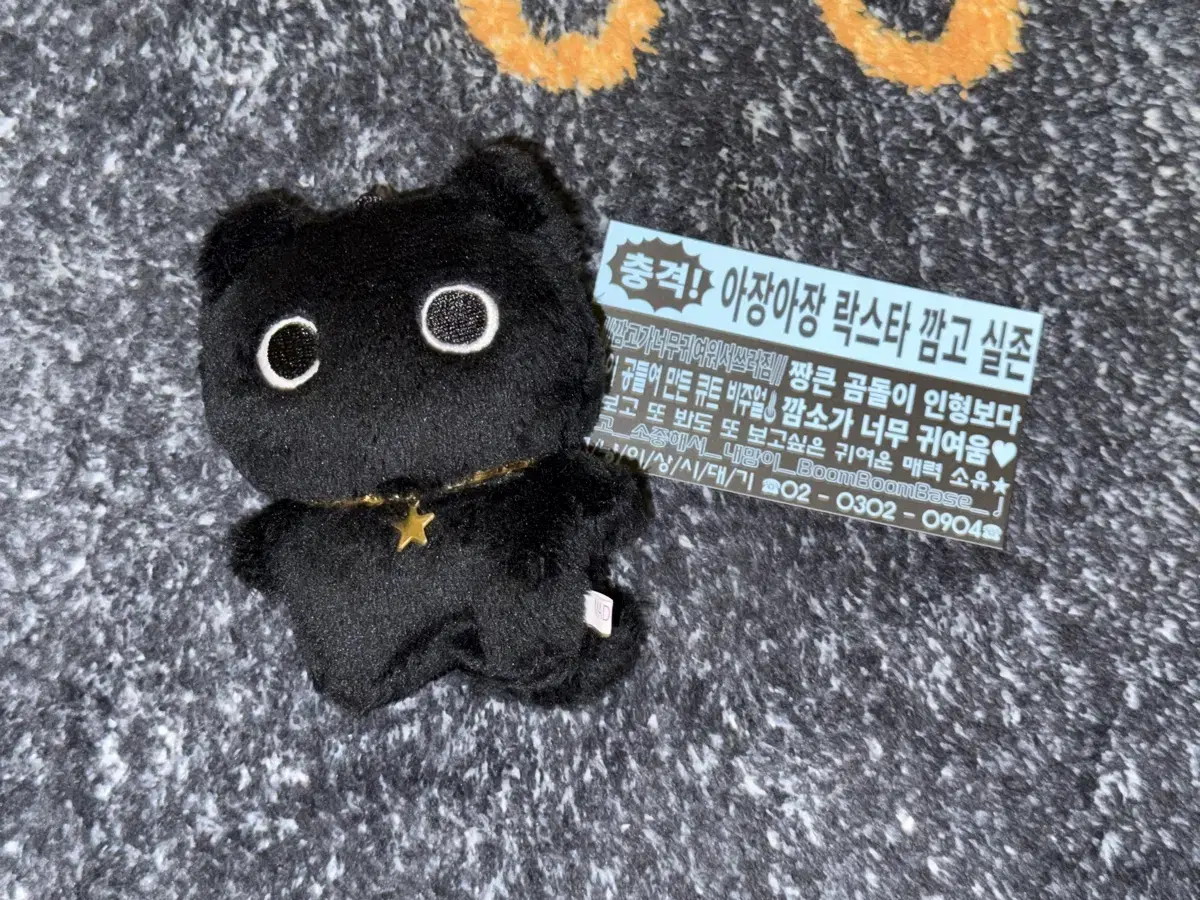 라이즈 원빈 10cm 인형 깜소