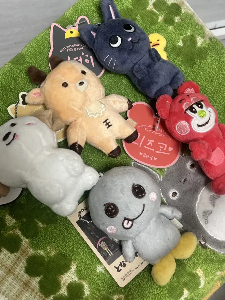배송비 포함 라이즈 10cm인형