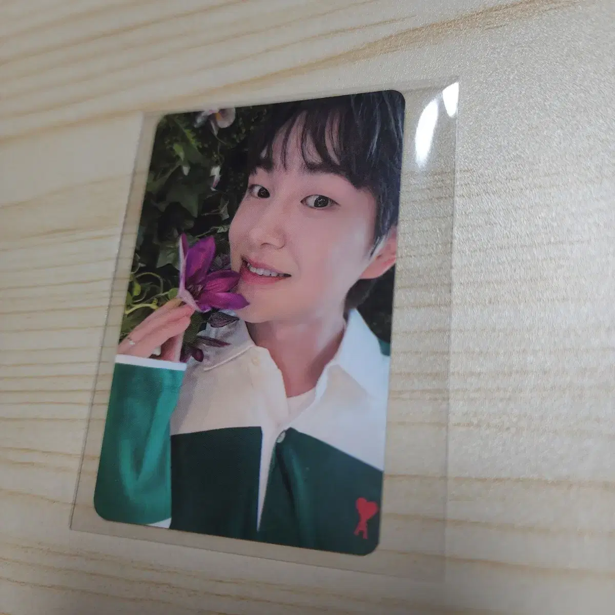 온유 올라 팬콘 특전 포카