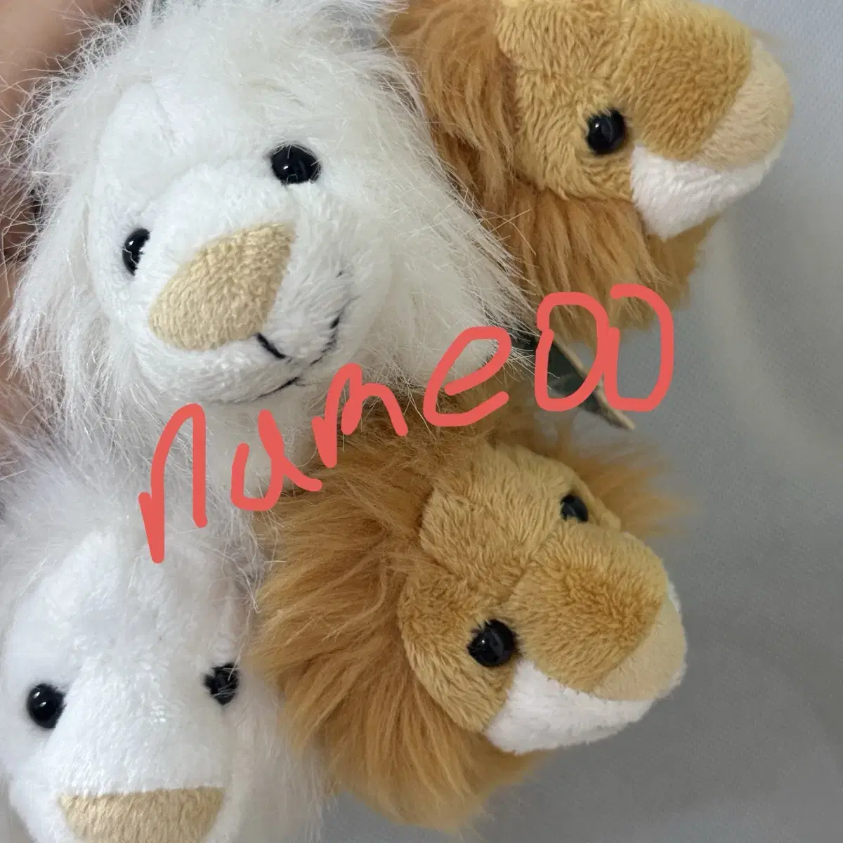 Lee Mujin, Jason Tiger, WTS