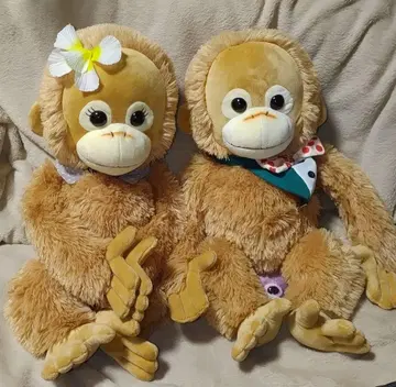 베이비 코코&너트 M 사이즈 택 포함