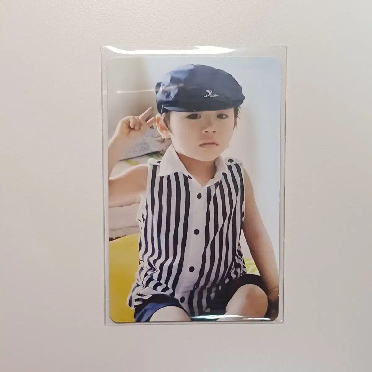 보넥도 태산 19.99 위버스 아기포카