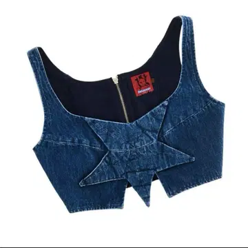DAISY LONE STAR BUSTIER