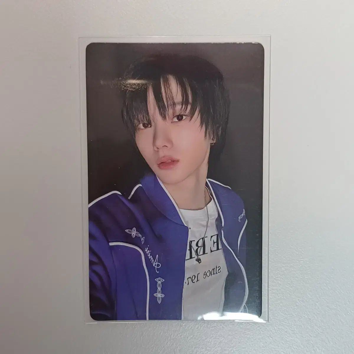 보넥도 성호 how 위버스 특전 포카